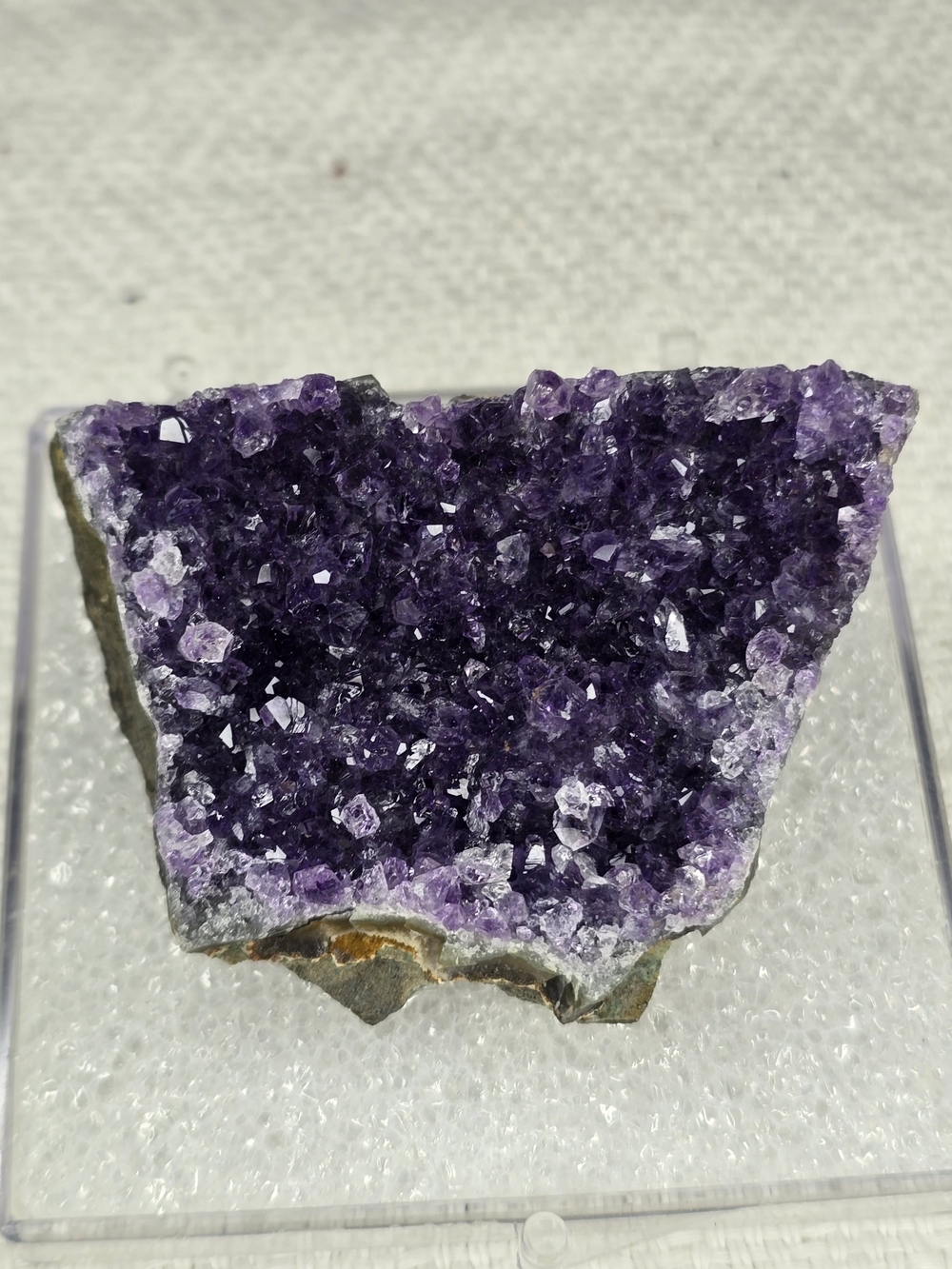 Natural Bridge Caverns Uruguay Amethyst Crystal Specimen Display Case